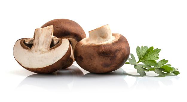 Jornadas Micológicas en Tardelcuende: demostraciones culinarias y encendida de la Luminaria 