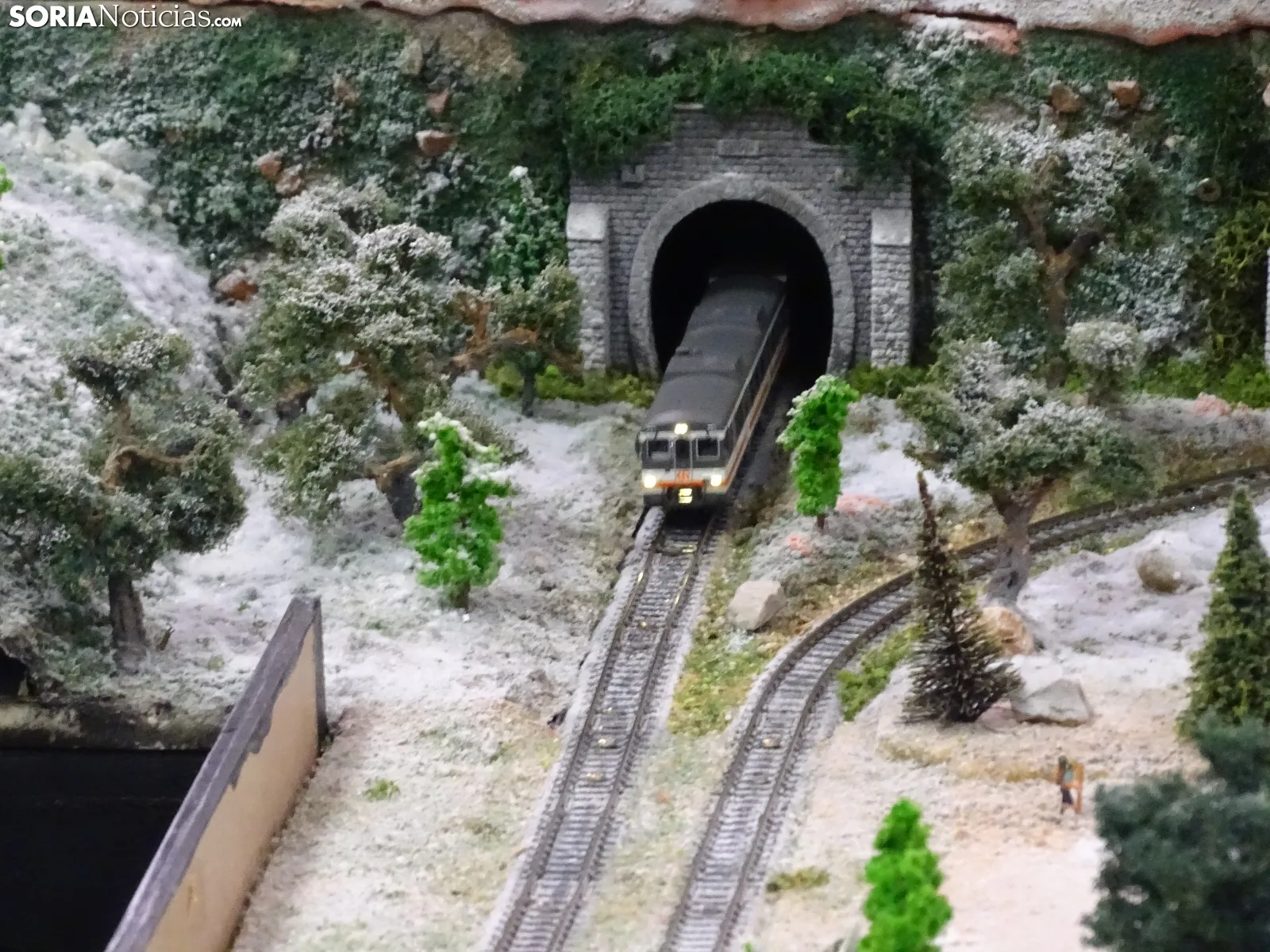 Foto 11 - El tren que no cesa (ni se olvida)