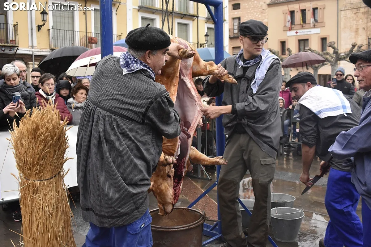 46 Jornadas de la Matanza del Virrey Palafox.