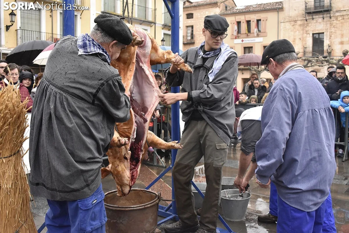 46 Jornadas de la Matanza del Virrey Palafox.