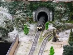 Foto 11 - El tren que no cesa (ni se olvida)