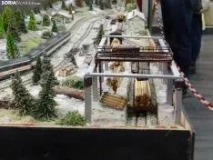 Foto 3 - El tren que no cesa (ni se olvida)