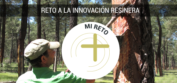 El sector resinero busca reinventarse con una tormenta de ideas