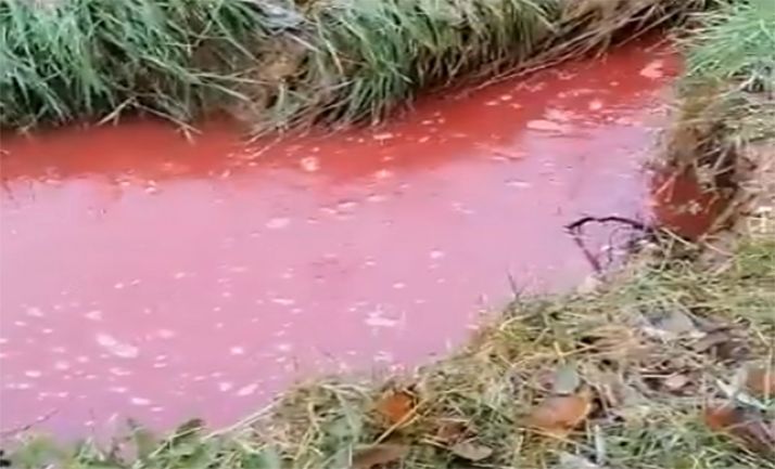 Un vertido de sangre al Duero. /ASDEN