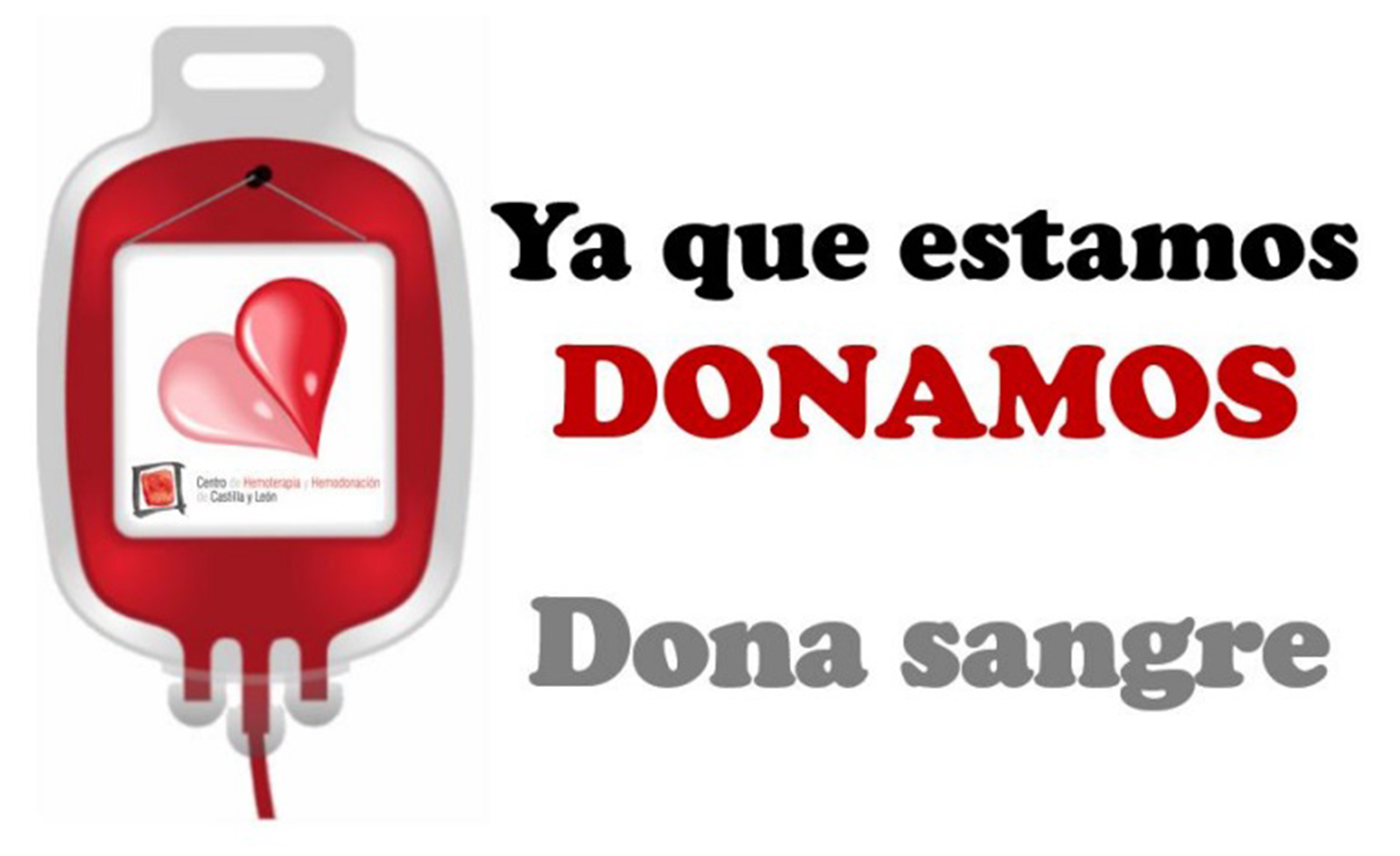 Ya que estamos, donamos' lema para fomentar la donación de sangre entre los  profesionales de Atención Primaria - SoriaNoticias