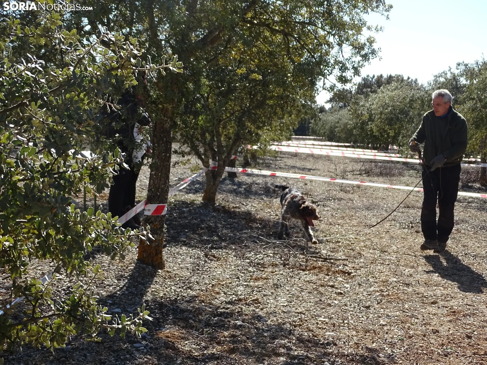 Una imagen del campeonato de este domingo en Abejar. /SN