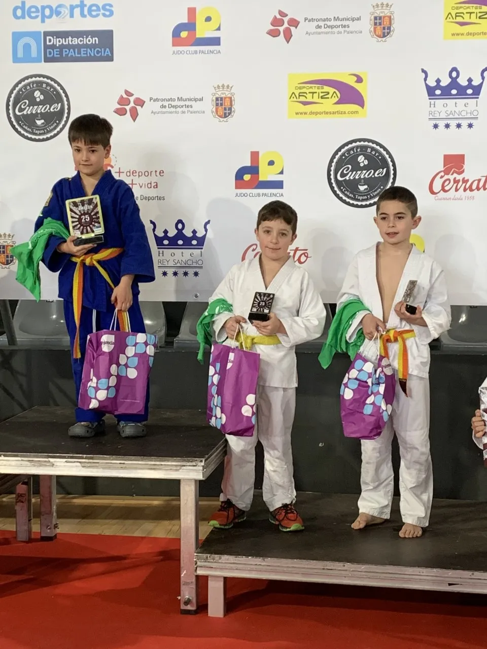 Foto 9 - Magn&iacute;ficos resultados para el judo soriano en Palencia