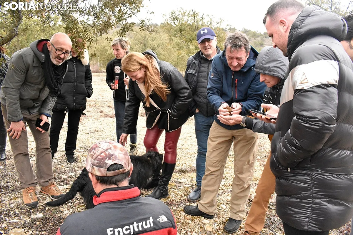 Jornada para profesionales de la Feria de la Trufa de Soria.