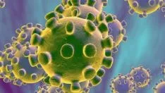 Foto 3 - Un estudiante italiano y un ingeniero iran&iacute;, primeros dos casos de Coronavirus en Castilla y Le&oacute;n