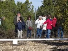 Una imagen del campeonato de este domingo en Abejar. /SN