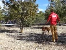 Una imagen del campeonato de este domingo en Abejar. /SN