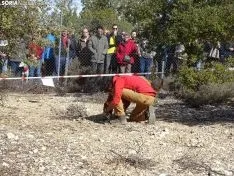 Una imagen del campeonato de este domingo en Abejar. /SN