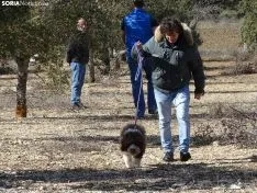 Una imagen del campeonato de este domingo en Abejar. /SN