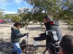 Una imagen del campeonato de este domingo en Abejar. /SN