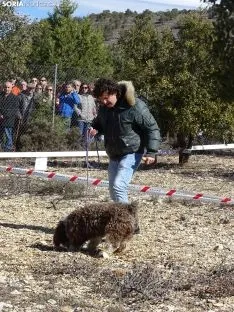 Una imagen del campeonato de este domingo en Abejar. /SN