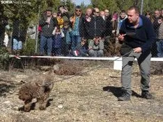 Una imagen del campeonato de este domingo en Abejar. /SN