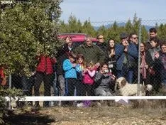 Una imagen del campeonato de este domingo en Abejar. /SN