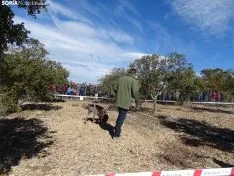 Una imagen del campeonato de este domingo en Abejar. /SN