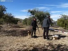 Una imagen del campeonato de este domingo en Abejar. /SN