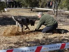 Una imagen del campeonato de este domingo en Abejar. /SN