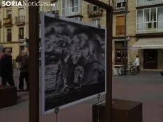 Presentación de la exposición 'Génesis'