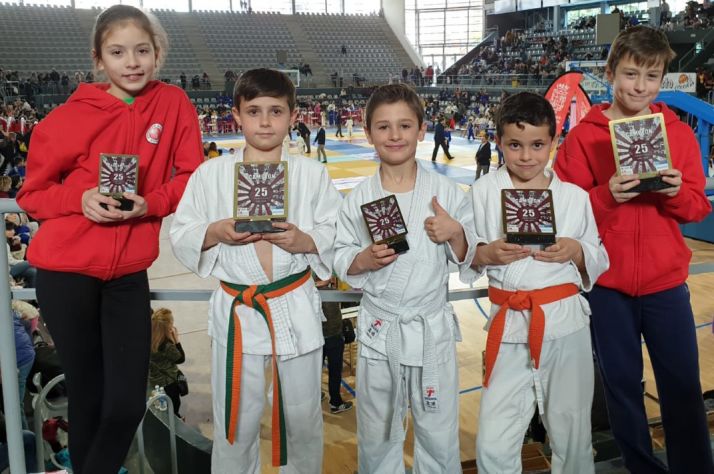 Magn&iacute;ficos resultados para el judo soriano en Palencia