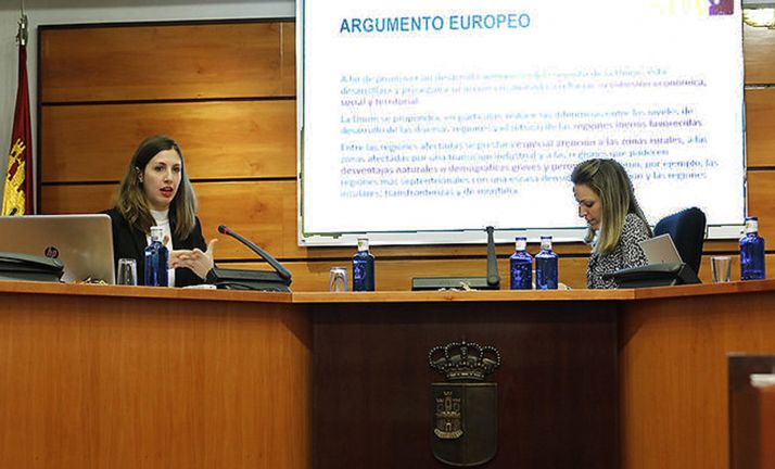 Bianchi, (izda.) en su intervención en la sede parlamentaria de Castilla-La Mancha. /FOES