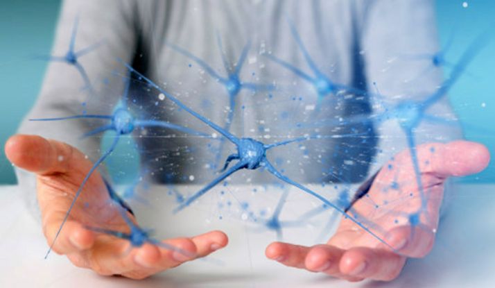 Este sábado, la fase autonómica de la XV Olimpiada Española de Biología en el Campus