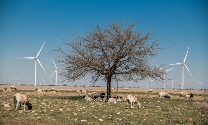 Siemens-Gamesa recibe un préstamo de 175 M&euro; para activos renovables