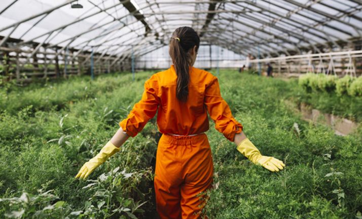 Arranca la elaboración del Plan de Agricultura y Ganadería Joven