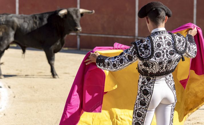 La Peña Taurina Soriana se va del Consejo Taurino