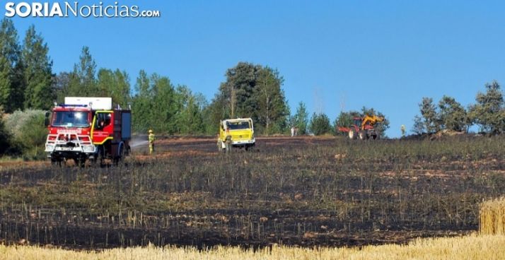 La Junta presenta la campaña Plantémonos contra el fuego para alumnos de primaria y secundaria del Bierzo