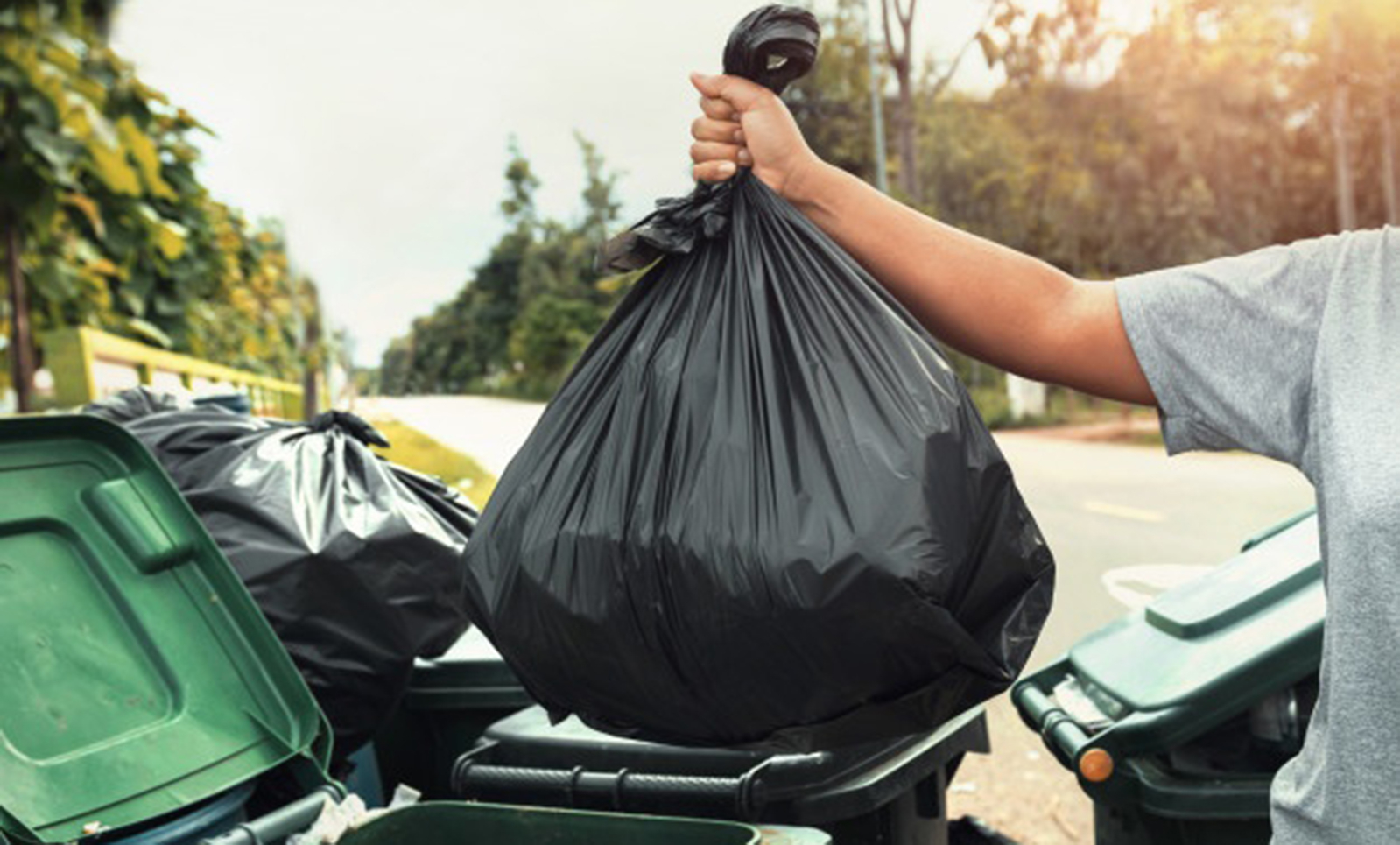 Tirar La Basura En Su Lugar