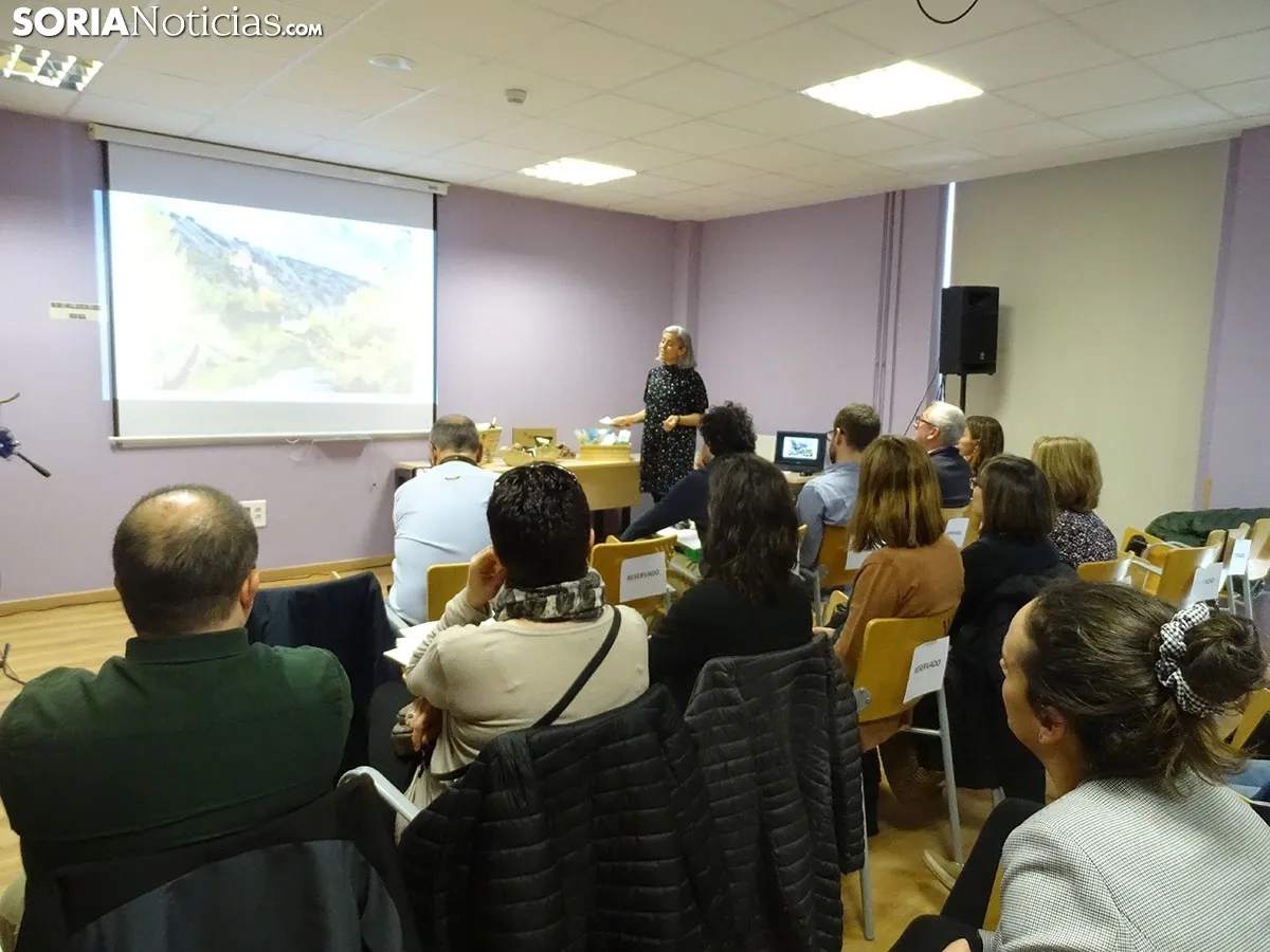 Final de la Iniciativa Impulso Emprende.
