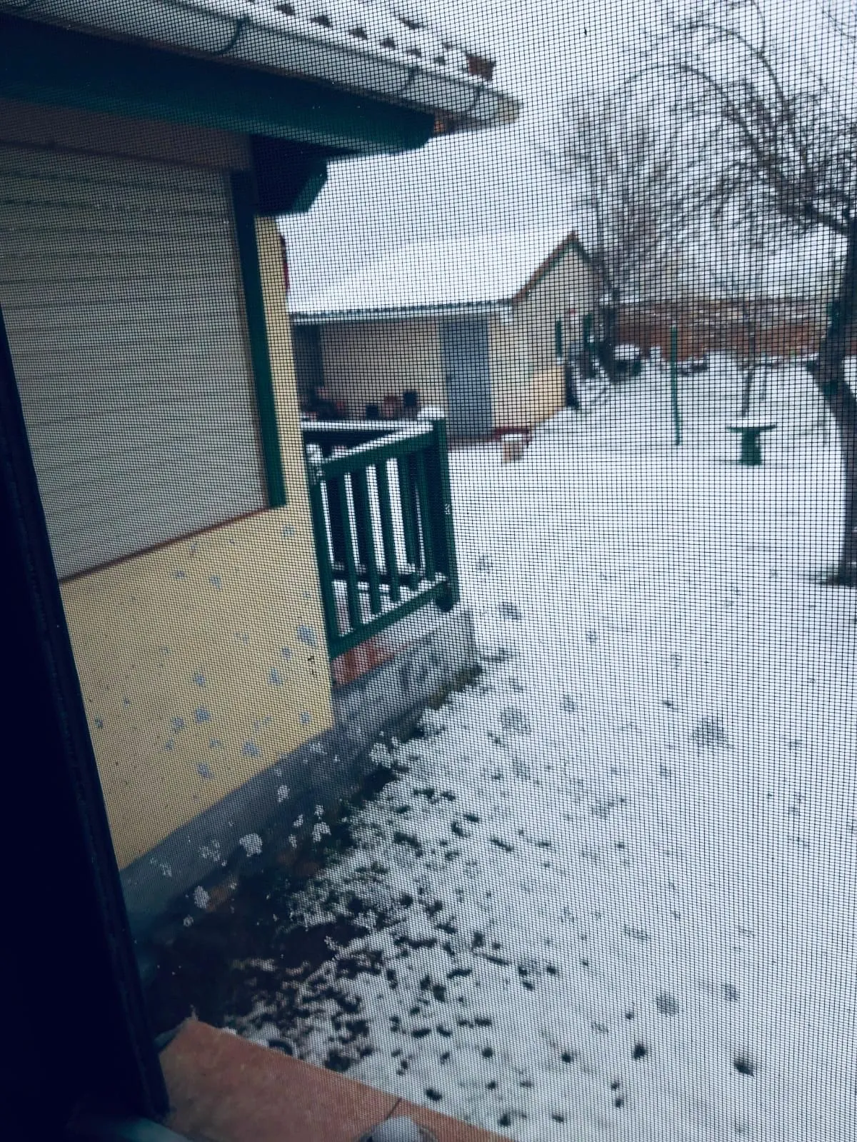 Foto 15 - Galer&iacute;a: La nevada, mejor desde casa