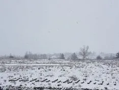 Foto 8 - Galer&iacute;a: La nevada, mejor desde casa
