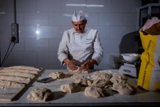 Foto 4 - El pan soriano de cada día