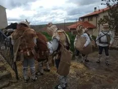 Carnaval de Borobia