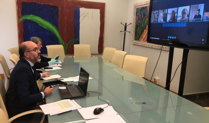 El consejero en la vídeo conferencia mantenida con el Consejo de Turismo.