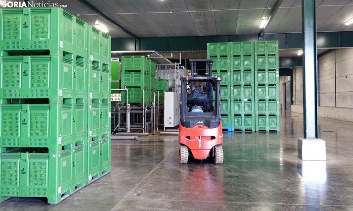 Instalaciones de almacenaje de una industria agroalimentaria soriana. /SN