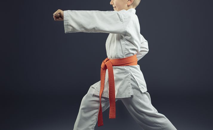 Este domingo, el Provincial de judo en Los Pajaritos