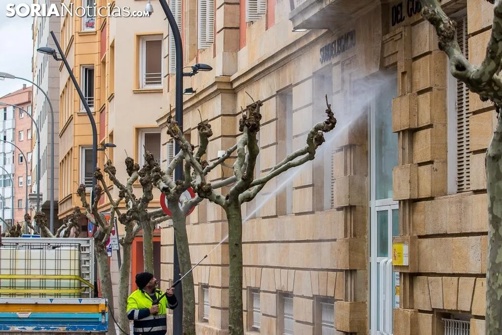 Imágenes tomadas en el centro de Soria el lunes 20 de abril de 2020. Viksar Fotografía