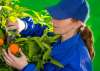 Foto 1 - El Gobierno busca facilitar la contratación de trabajadores de temporada para el sector agropecuario