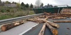Foto 10 - Vuelca un cami&oacute;n con madera en Golmayo