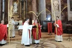 Foto 5 - Abre oficialmente, una Semana Santa "distinta" en Osma-Soria