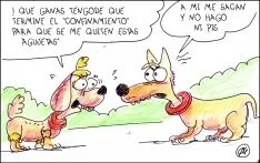 Foto 4 - El humor de Quique Bastida no descansa en cuarentena