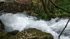 Foto 7 - Espectaculares im&aacute;genes de la cascada de La Toba