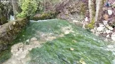 Foto 6 - Espectaculares im&aacute;genes de la cascada de La Toba