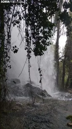 Foto 9 - Espectaculares im&aacute;genes de la cascada de La Toba