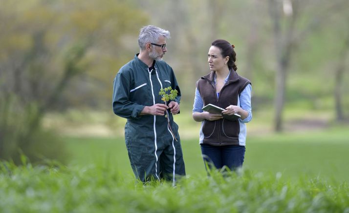 Un agricultor con una técnico agrónomo. 